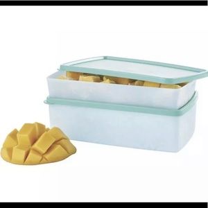Tupperware Freezer Mates Freeze It Plus - set of 2